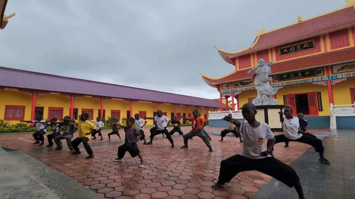 From 6-Year-Old Disciples to Zen Masters: The Shaolin Monk's Decades-Long Kung Fu Odyssey
