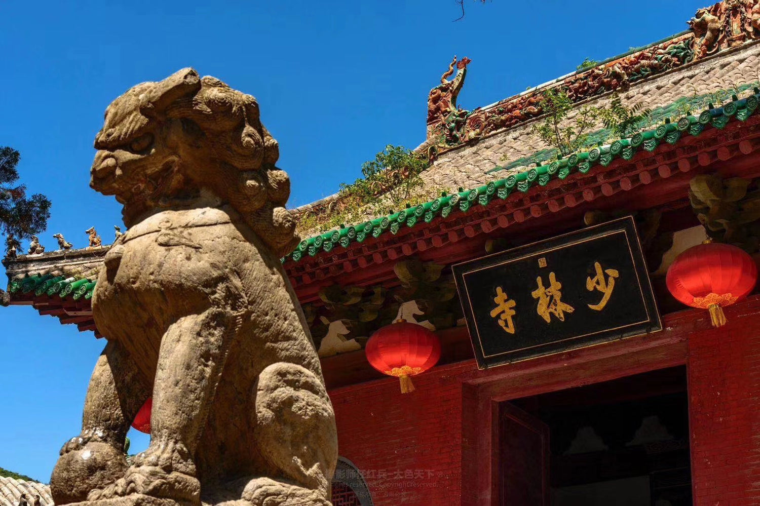 Stone guardian lion statue at Shaolin Temple entrance with red lanterns and ornate roof