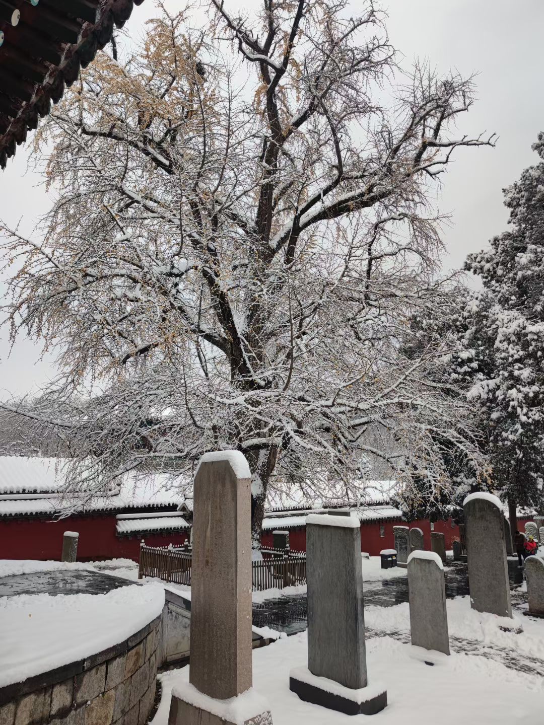 Shaolin temple stone steles and ancient tree covered in snow in winter courtyard