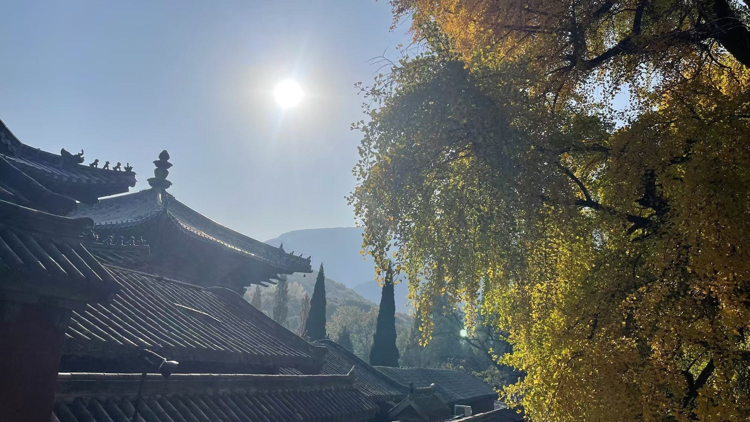 Sunrise over traditional Chinese temple roof with autumn trees and distant mountains