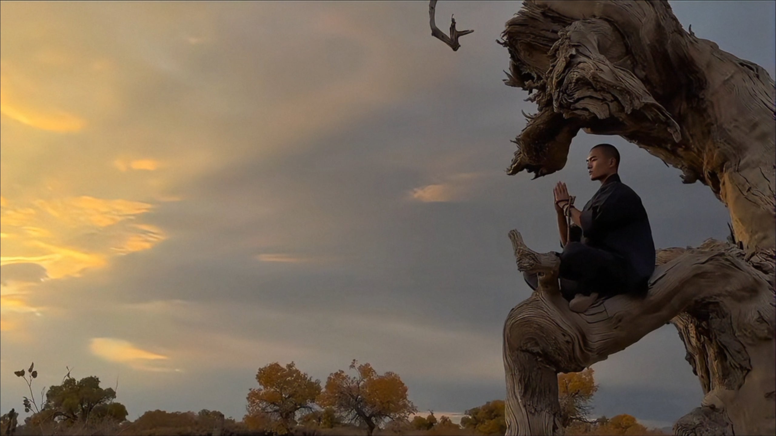 1500 years. calm, balance, and quiet strength